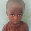 Muhammad  Falalu Usman  